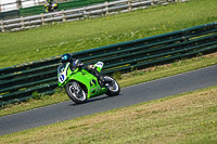 Lower Group Green Bikes
